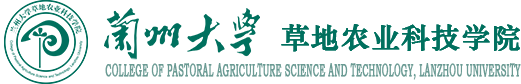 73882必赢欢迎光临网址